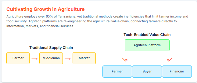 Tanzania's Tech Revolution Isn't About Apps, It's About Survival. Here's Why.